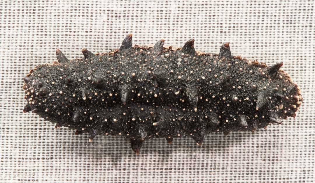 202108201325004971.png 202108201325004971.png